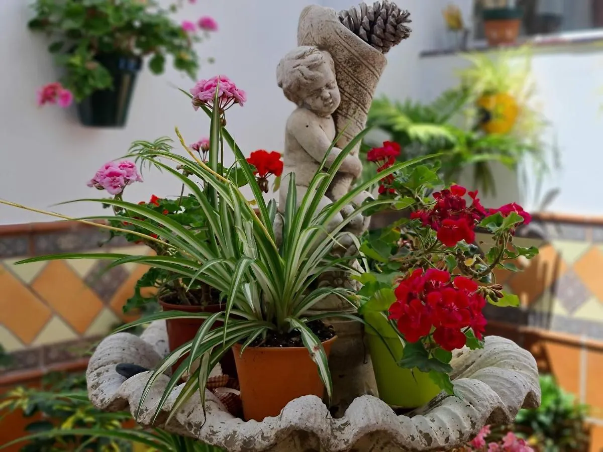 נרחה Apartamentos El Barrio 0*,  ספרד